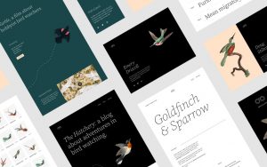 Wordpress installeren